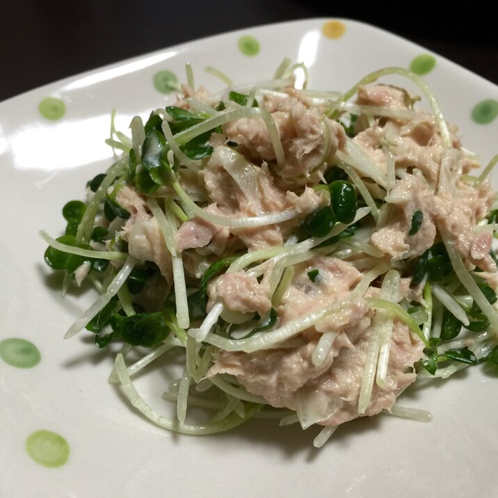 簡単もう一品に❤️ カイワレとツナ缶の和え物